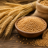 wheat